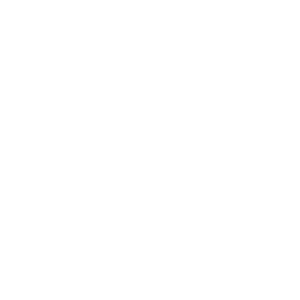 SEO TEXS Digital Marketing USA